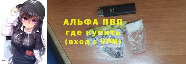 гашик Арсеньев